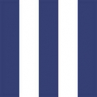 New Koblenz 044 - Blue Stripe White